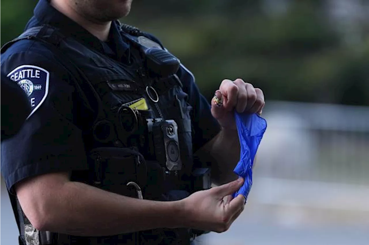 Teen Arrested After Ghost Gun Shooting at Seattle Food Festival