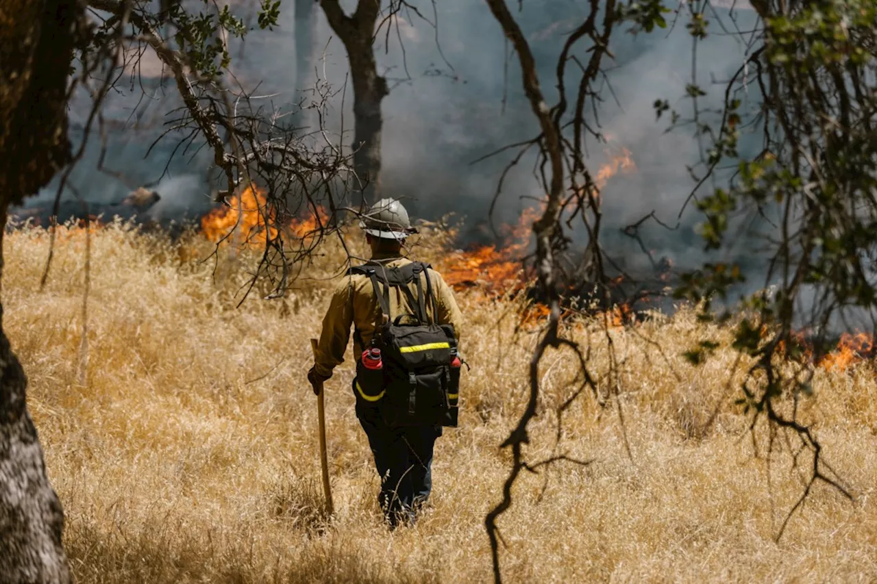 Ontario’s Northeast Region Braces as Active Wildfires Climb to 42