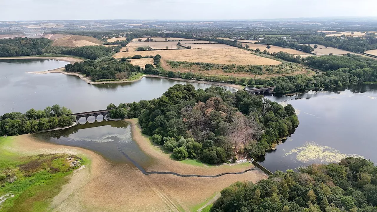 Beyond the Hosepipe: Why England’s Drought Defiance is a Crisis of Trust