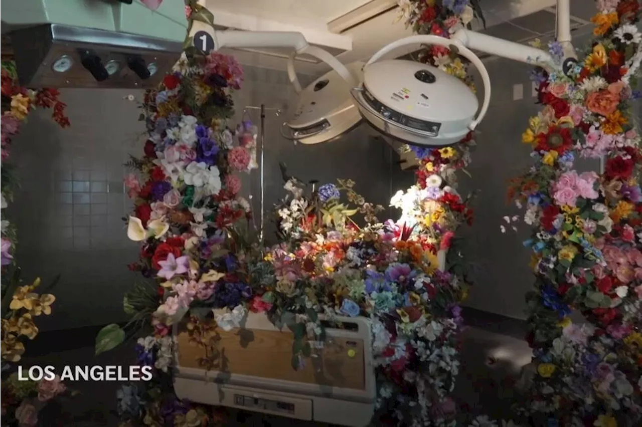 The Empathy Gap: From LA's Immersive Art to Nepal's Humanitarian Crisis