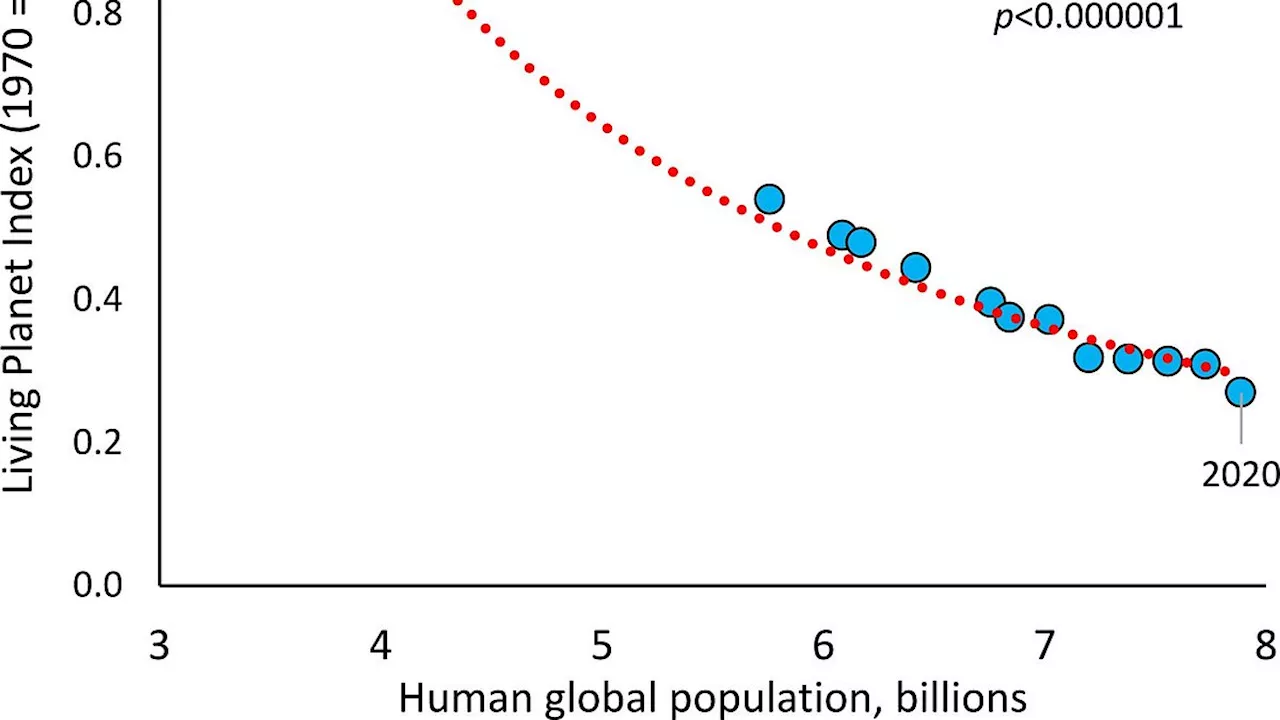 The 4 Billion Target: Can Voluntary Population Decline Save the Planet?