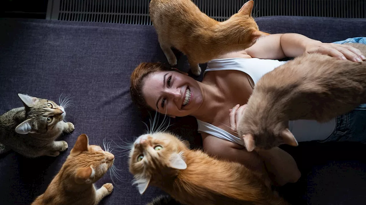 Beyond the 'Crazy Cat Lady': The Surprising Health Risks of Pet Attachment