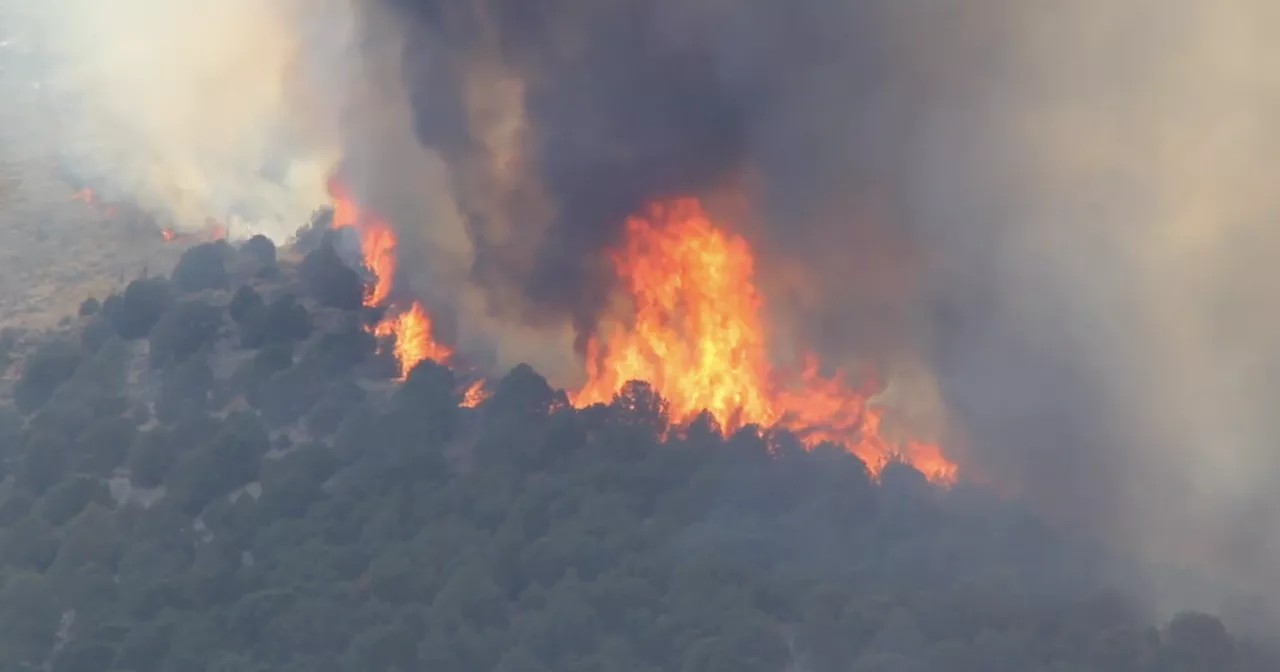 Beyond the Smoke: Pettersen’s Six-Bill Strategy to Rebuild Colorado’s Wildfire Defense