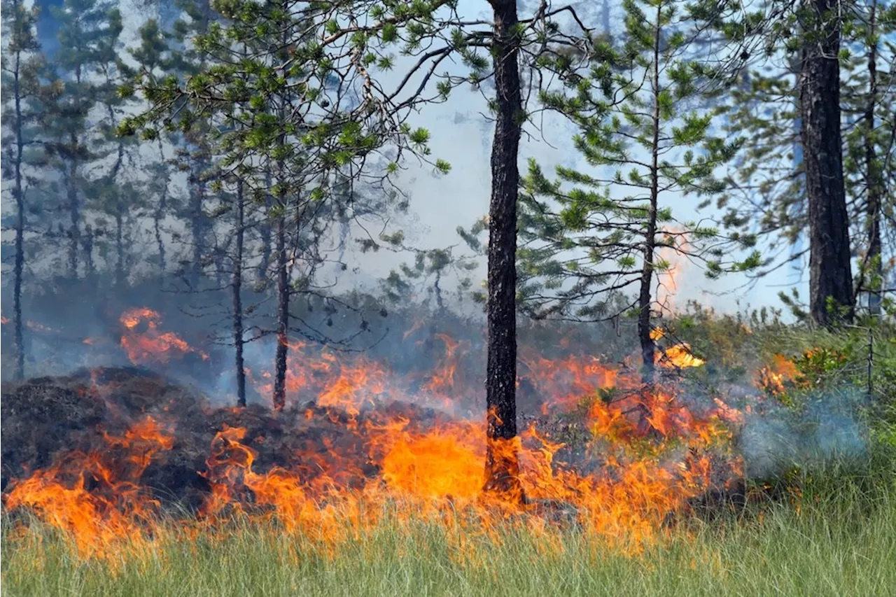 Sudbury's Fire Surge: 45 Active Incidents Put Northeast Ontario on Alert