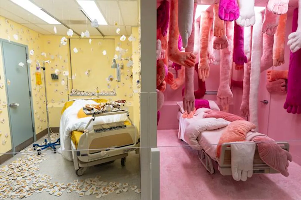 From Clinical Walls to Emotional Landscapes: The St. Vincent Art Takeover