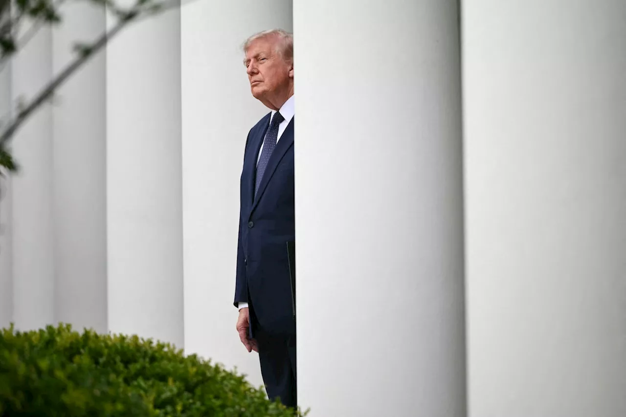 The High Cost of Influence: Trump's Tariff War Fuels a Washington Lobbying Gold Rush