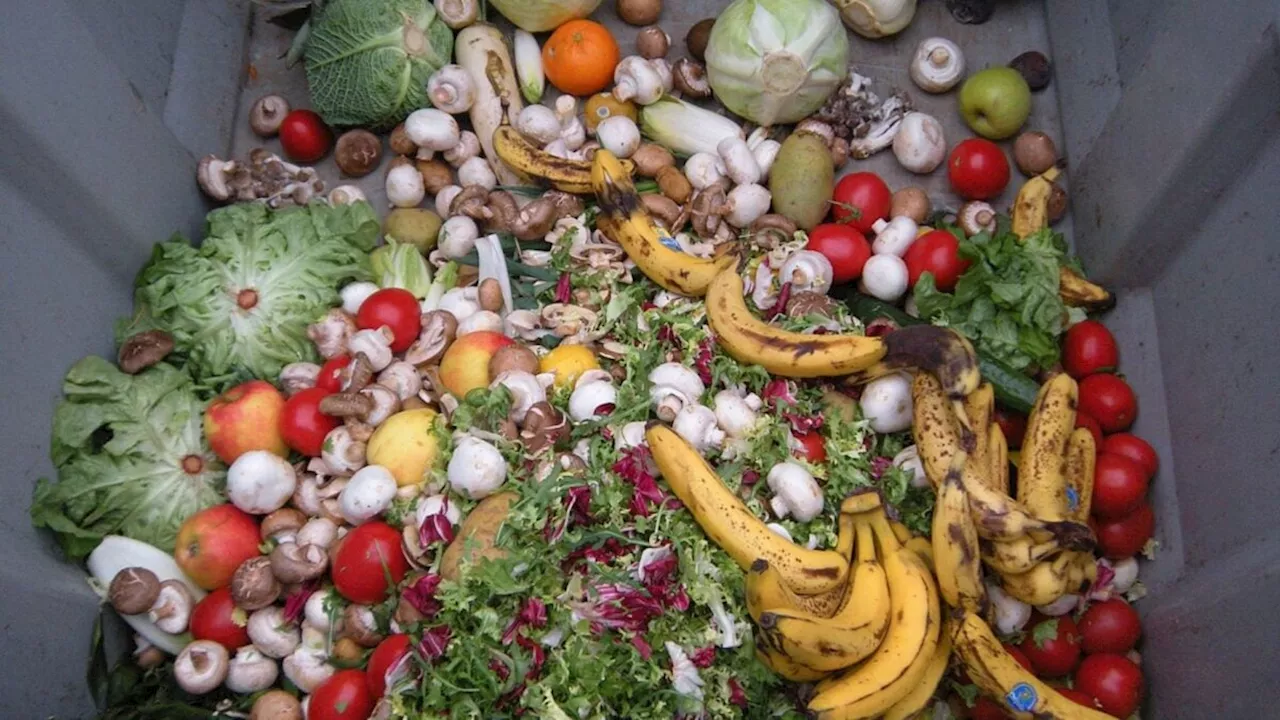The Microplastic Paradox: The Hidden Cost of National Food Waste Recycling