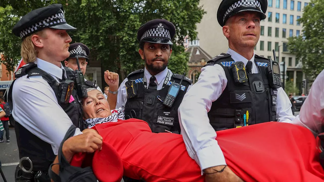 Supreme Court to Review Home Office's Decision to Ban Palestine Action
