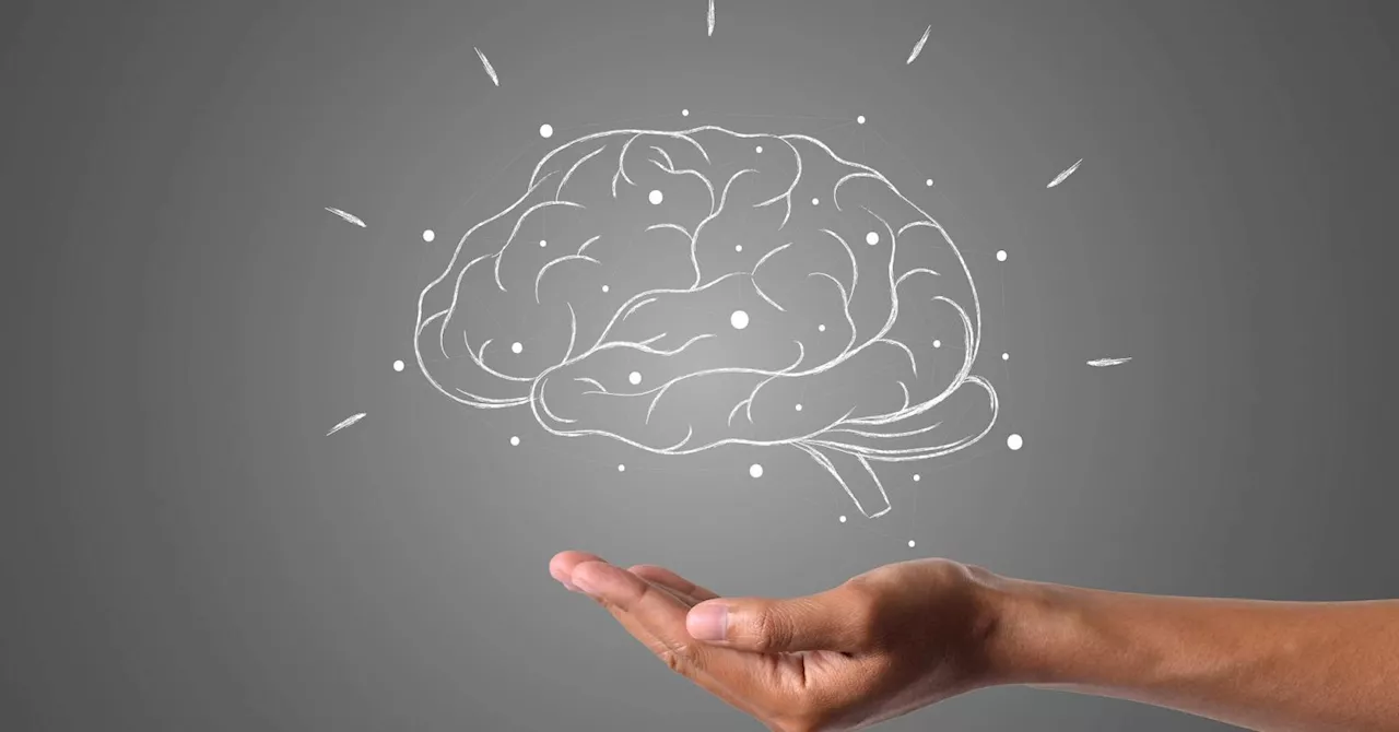 Beyond Willpower: How Brain Literacy Transforms Mental Health