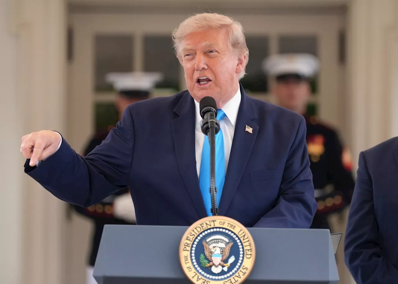 Trump's Board of Peace Claims Gaza Disarmament Breakthrough