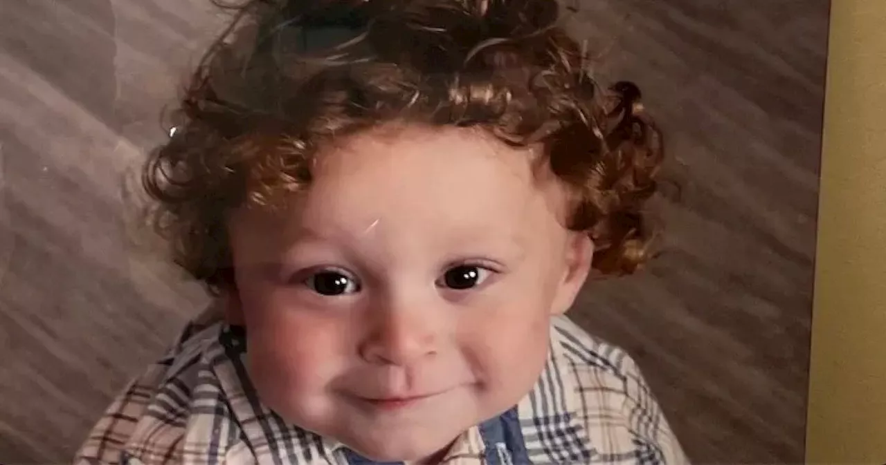 The Morgue Miracle: Arizona Toddler Survives Medical Error After Pool Accident