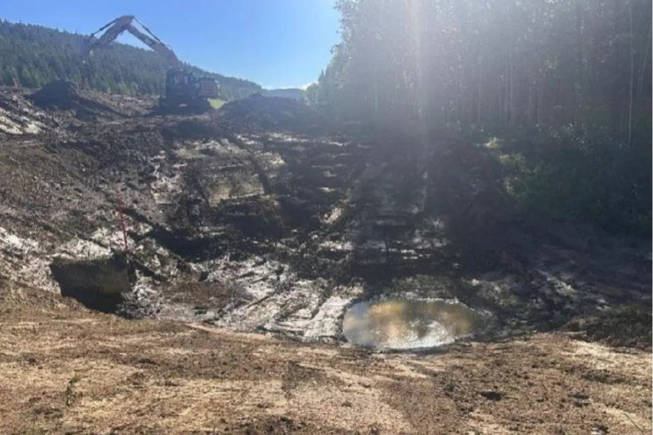 Bison Collision Triggers Massive Diesel Spill Near B.C.-Yukon Border