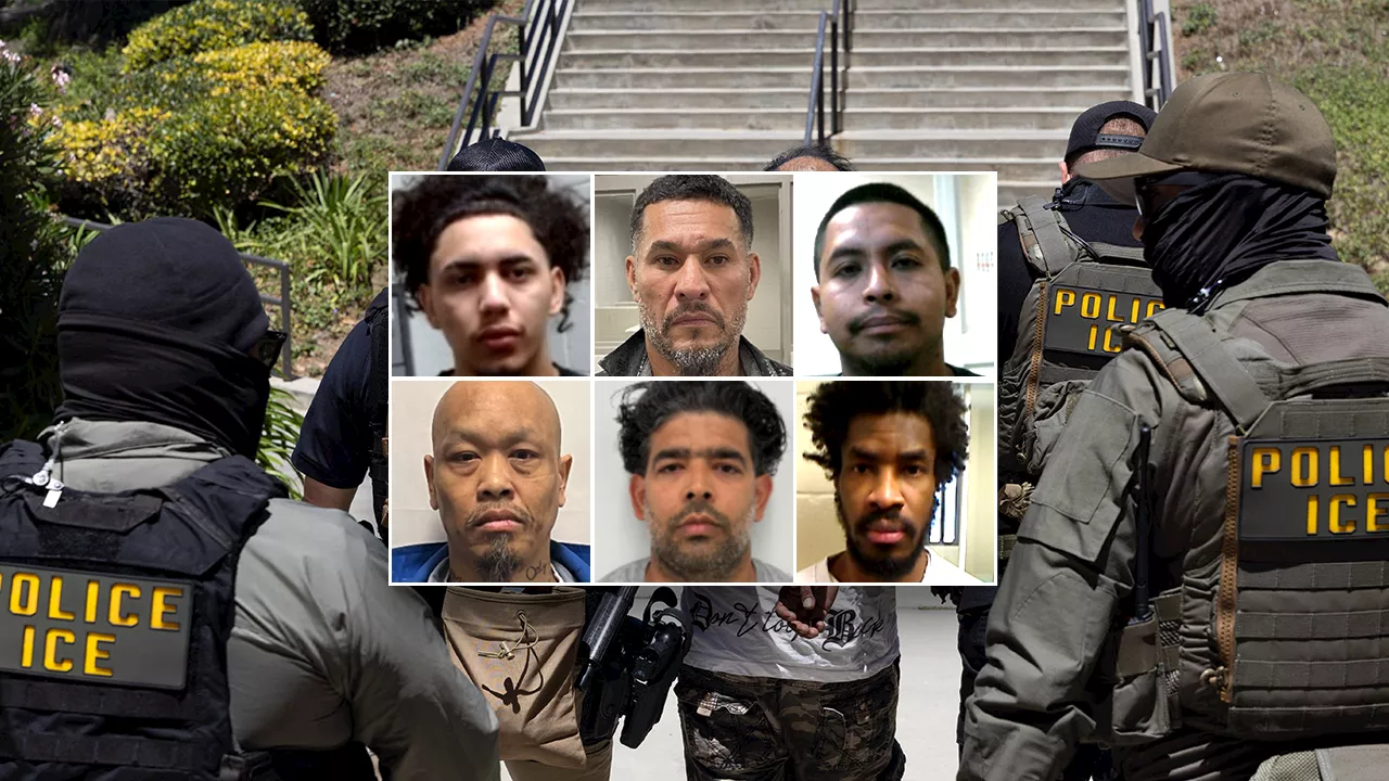 Crime's Great Decline: Trump Administration Links Record Lows to Mass Deportations