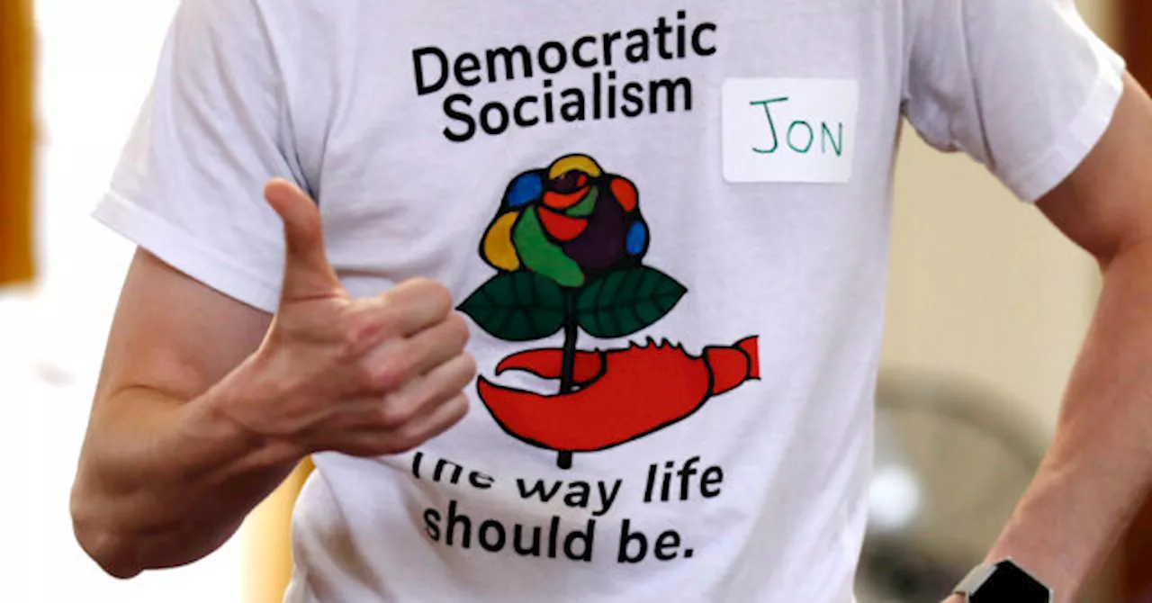 The DSA's War on the Senate: Megan Romer's Blueprint for Institutional Collapse