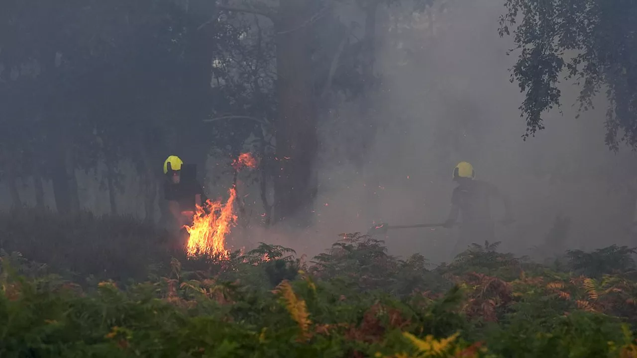 Double Disaster: Family Flees Suffolk Wildfires After France Evacuation