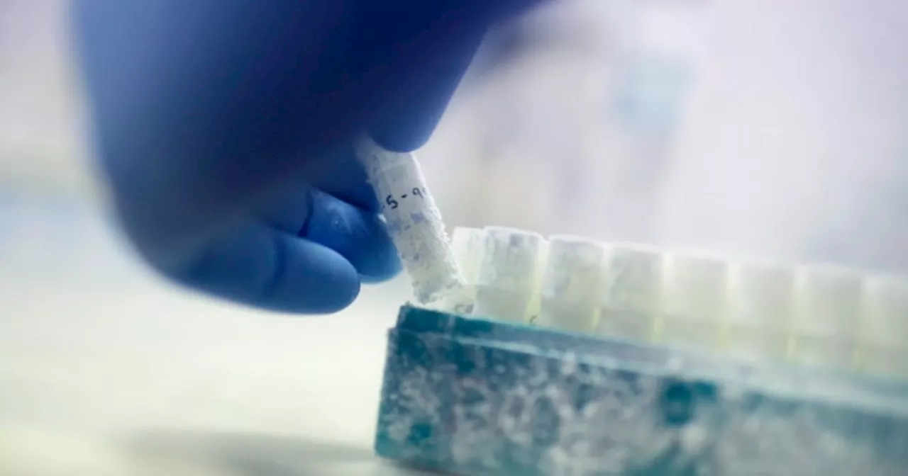 Health Canada Dismantles Discriminatory Sperm Donation Rules