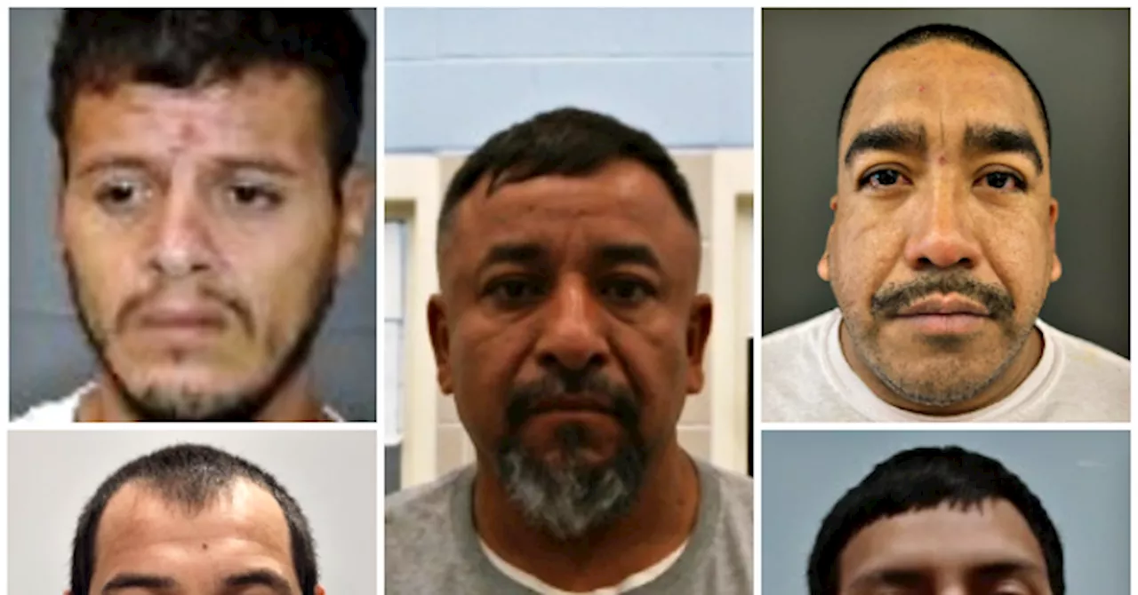 ICE Targets Gang Members and Kidnappers in Latest Deportation Wave