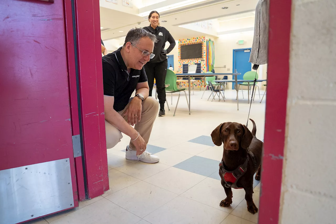 The $1.3 Million Plan to Curb Los Angeles' Shelter Crisis