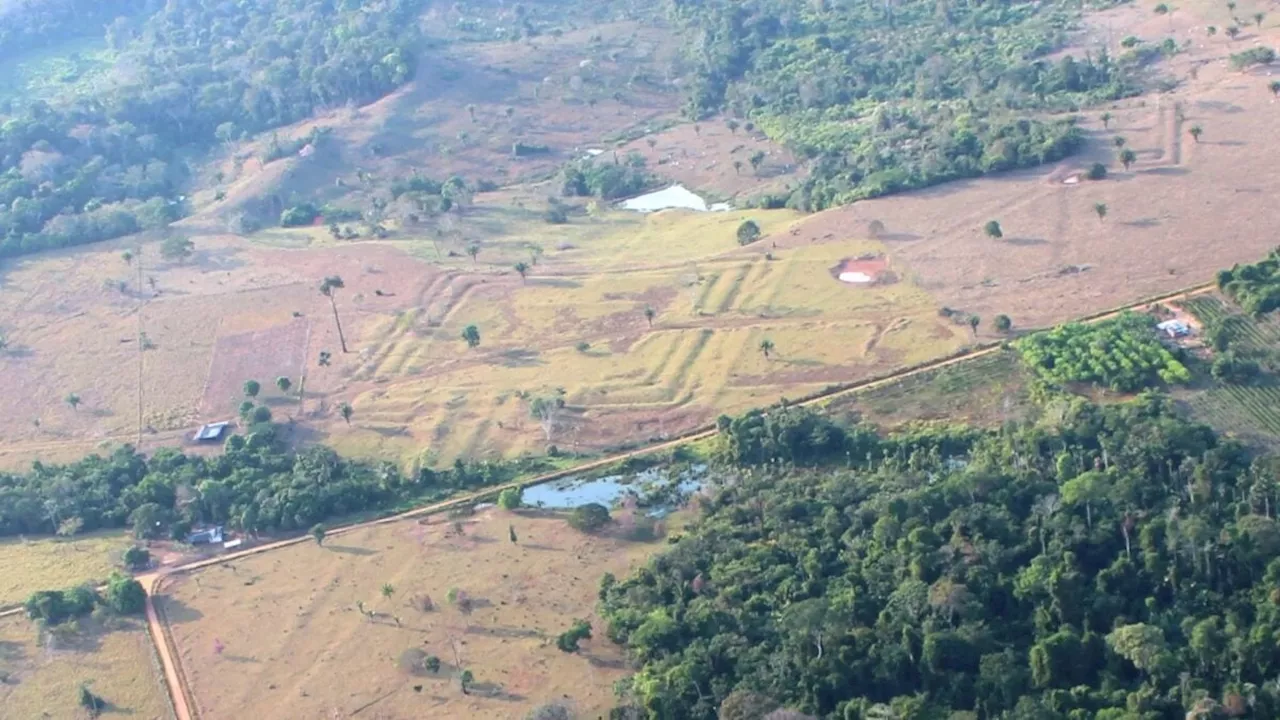 The Amazon Wasn't Wild: Lidar Uncovers the Lost Aquiry Civilization