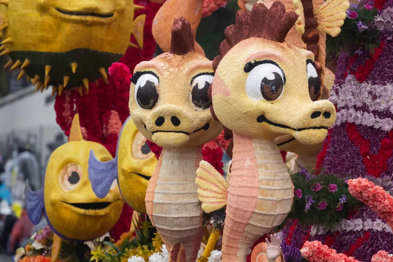 From Pasadena Streets to Hollywood Boardrooms: The Rose Parade’s New Media Strategy