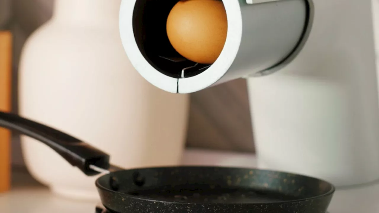 The $400 Breakfast Gamble: Is E.G.O.R. the Next Juicero?
