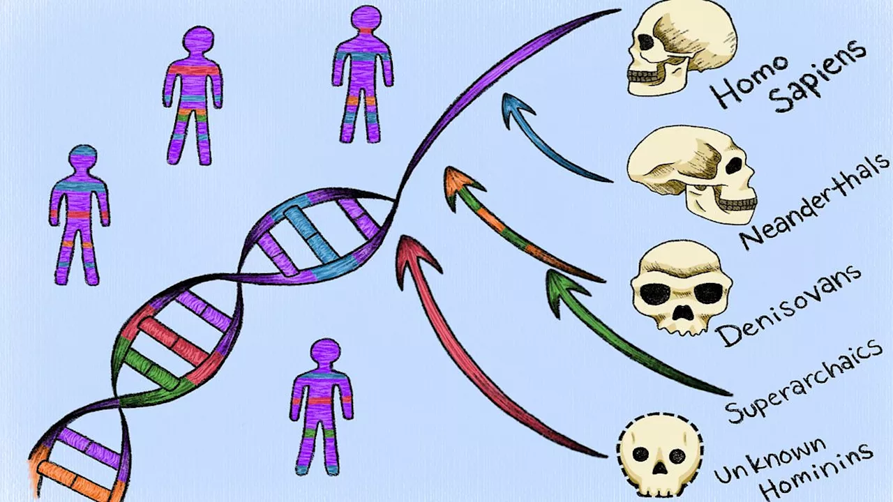 The 1% Mystery: How Two 'Ghost' Species Are Hidden in Our DNA