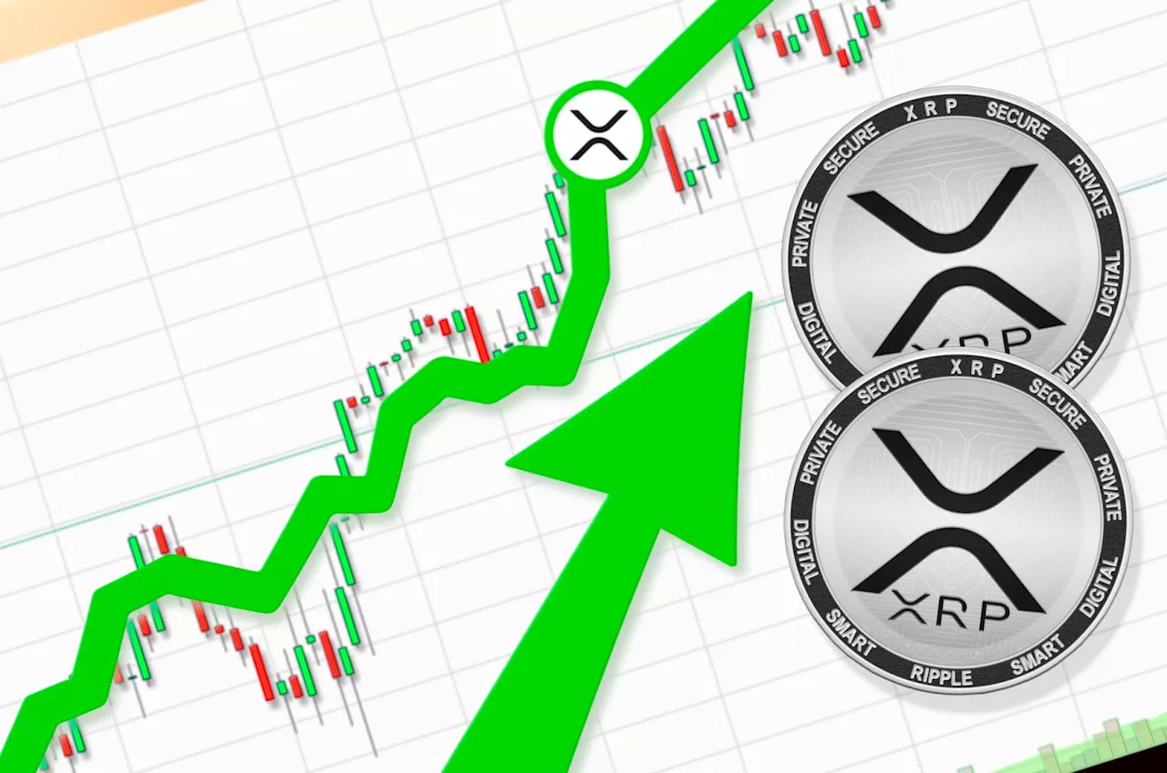 XRP Faces High-Stakes August Battle to Break Four-Year Losing Streak