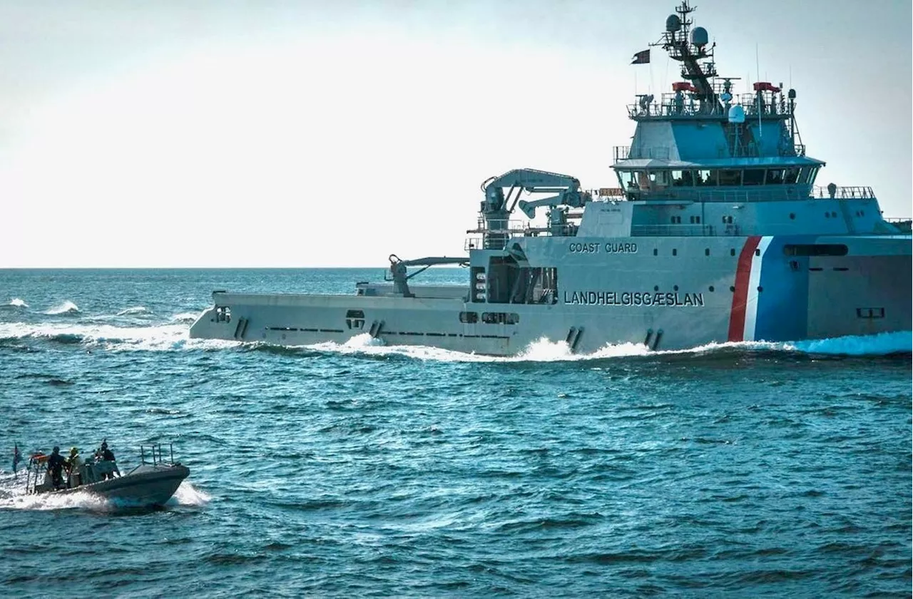 Iceland Detains Anti-Whaling Crew: The High-Stakes Clash of Operation 86