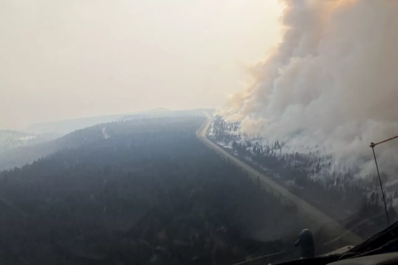 Bison Rancher Faces High-Stakes Evacuation Amid Pear Lake Wildfire