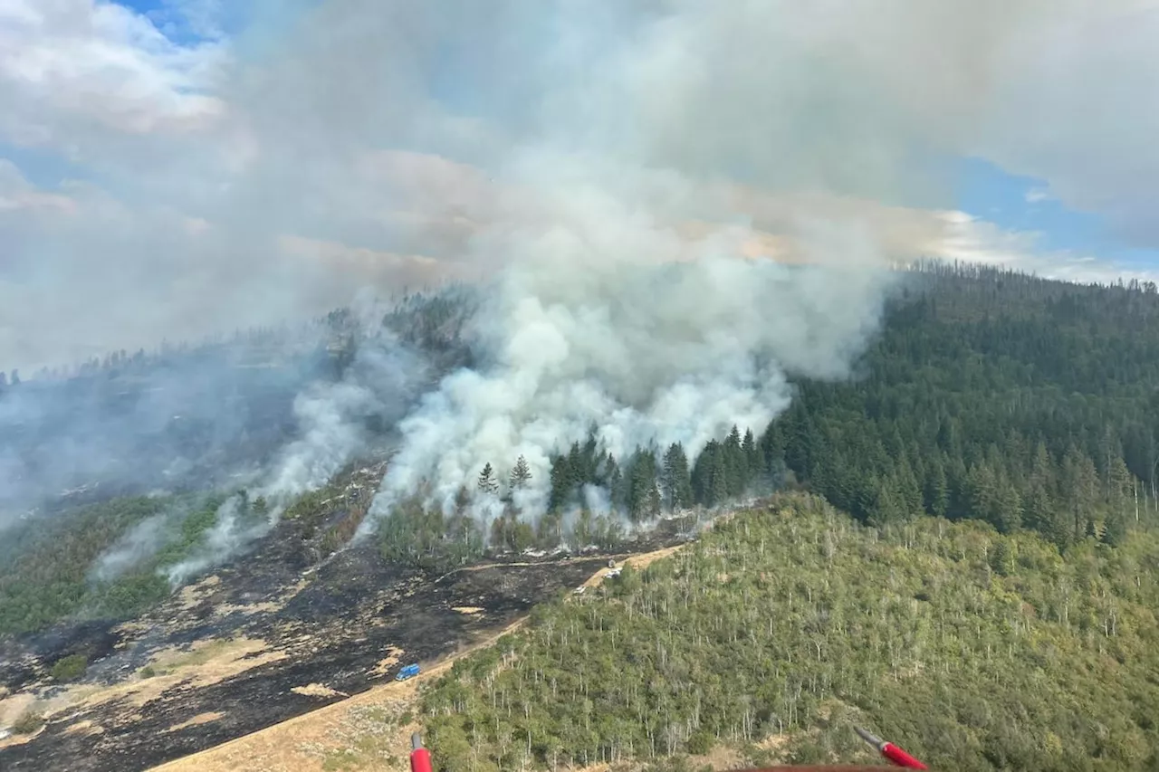 Wind and Lightning Fuel BC's Growing Wildfire Emergency: The Bradley Creek Crisis