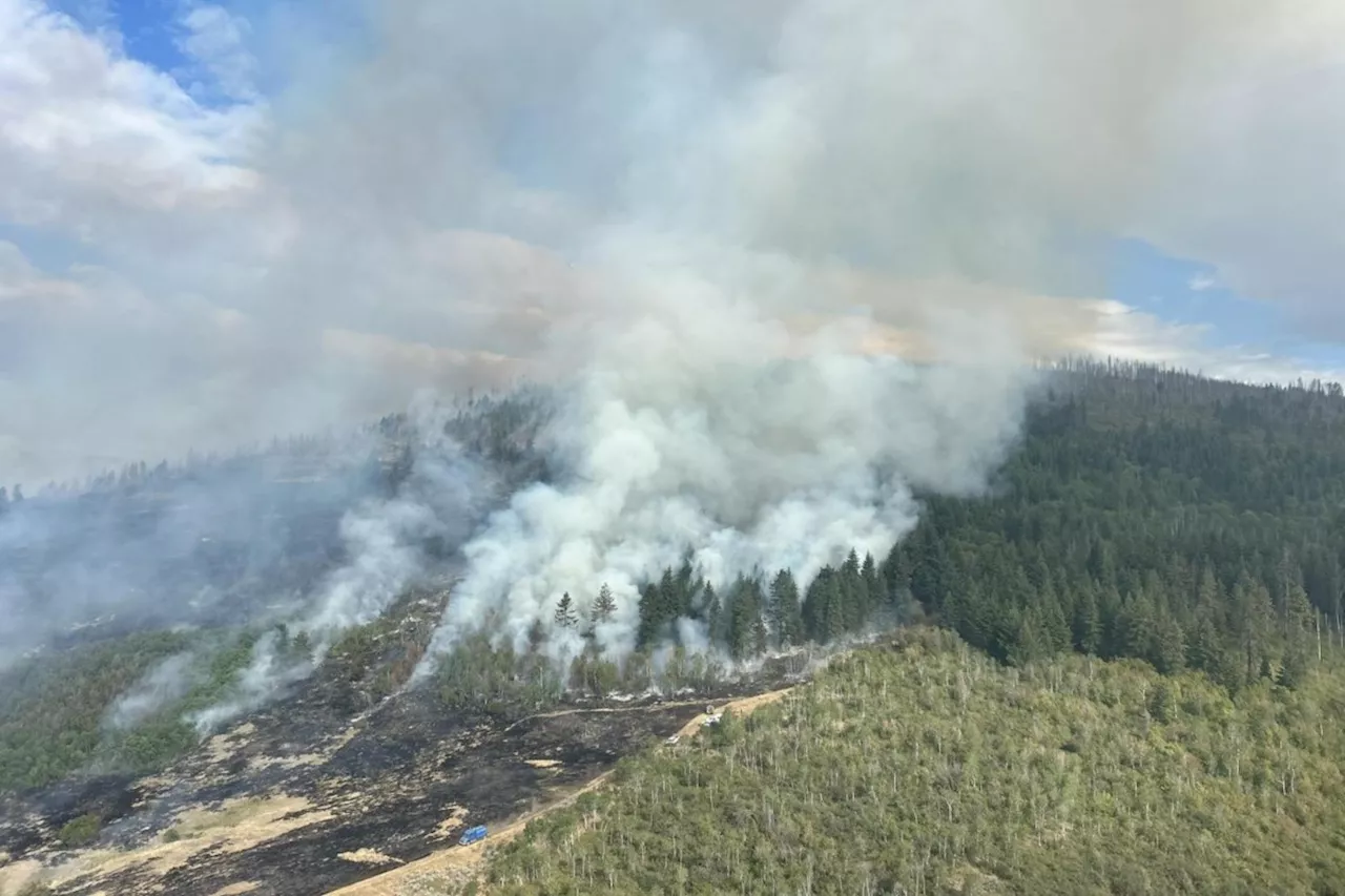 BC Wildfire Crisis: Bradley Creek Blaze Forces Evacuations in Central Okanagan