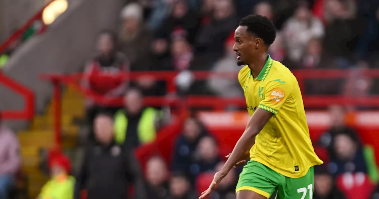 Ali Ahmed's Knee Injury: A Major Blow for Norwich City and Canada