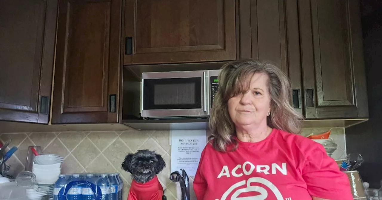 Water Crisis at Fernbrook Resort: A Summer of Boiling Water and $18,000 Vet Bills