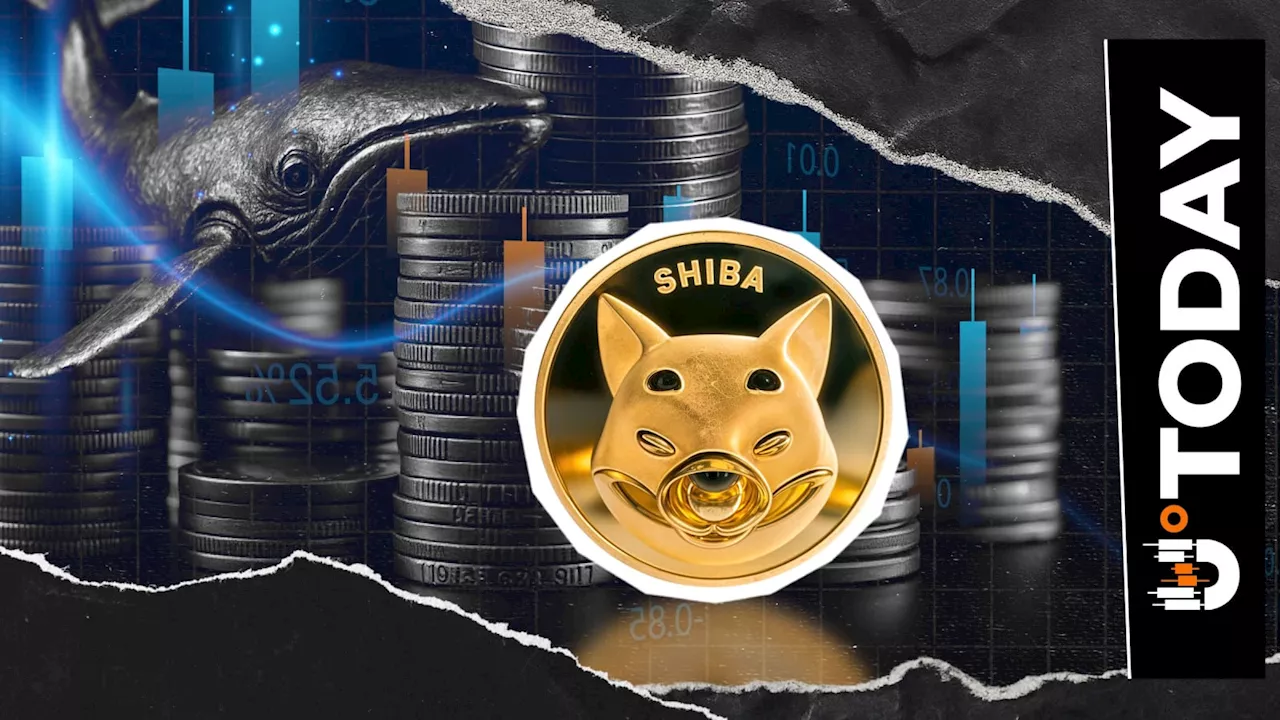 Shiba Inu's Price Rally Faces a 97% Netflow Crash