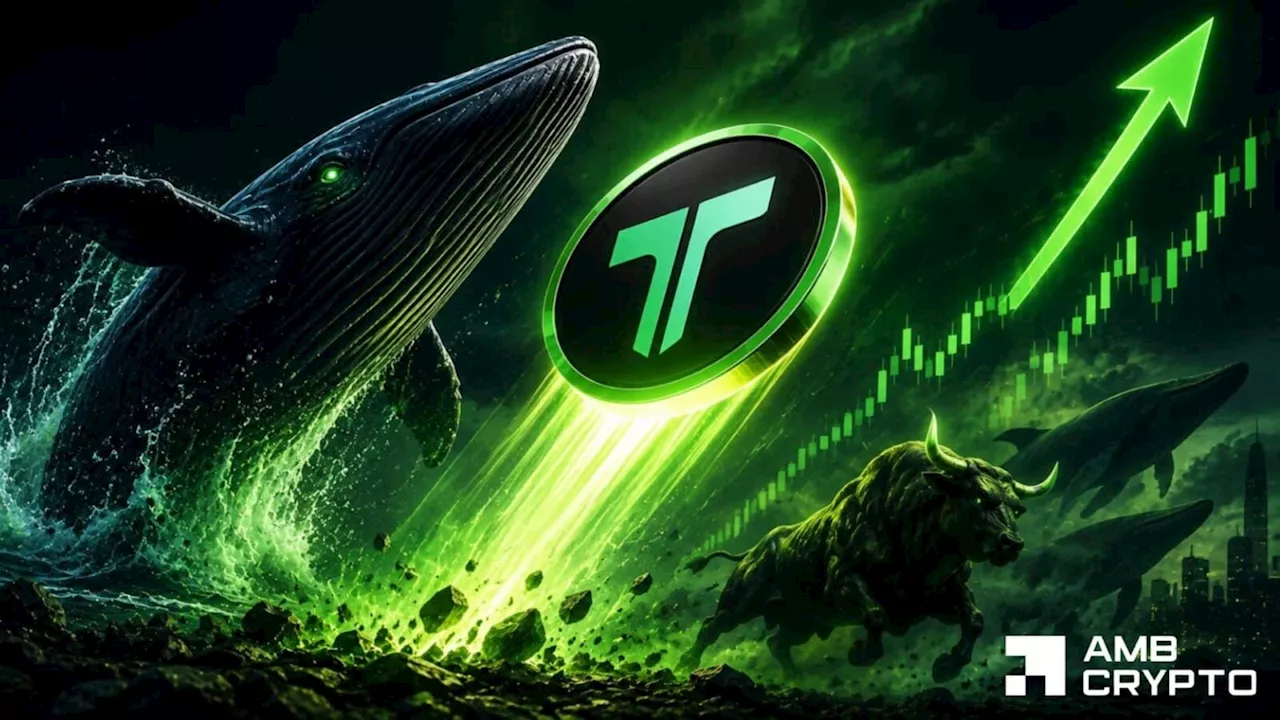 Tagger's 77% Supply Crunch: Can Whale Demand Sustain the TAG Rally?