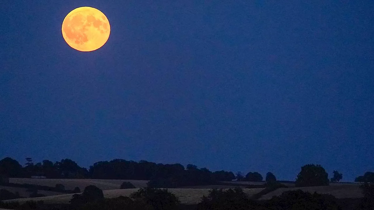 The Friction of Modernity: From Lunar Insomnia to Utility Failures