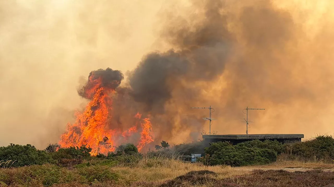 The 25-Year Scar: UK Wildfires and the Record-Breaking July Drought