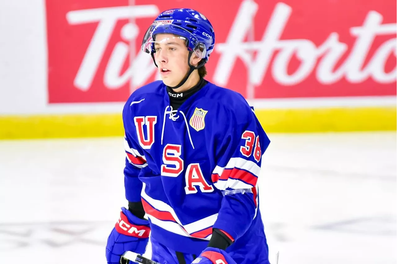 Beyond the Scores: Analyzing the Top Prospects from the Windsor Showcase