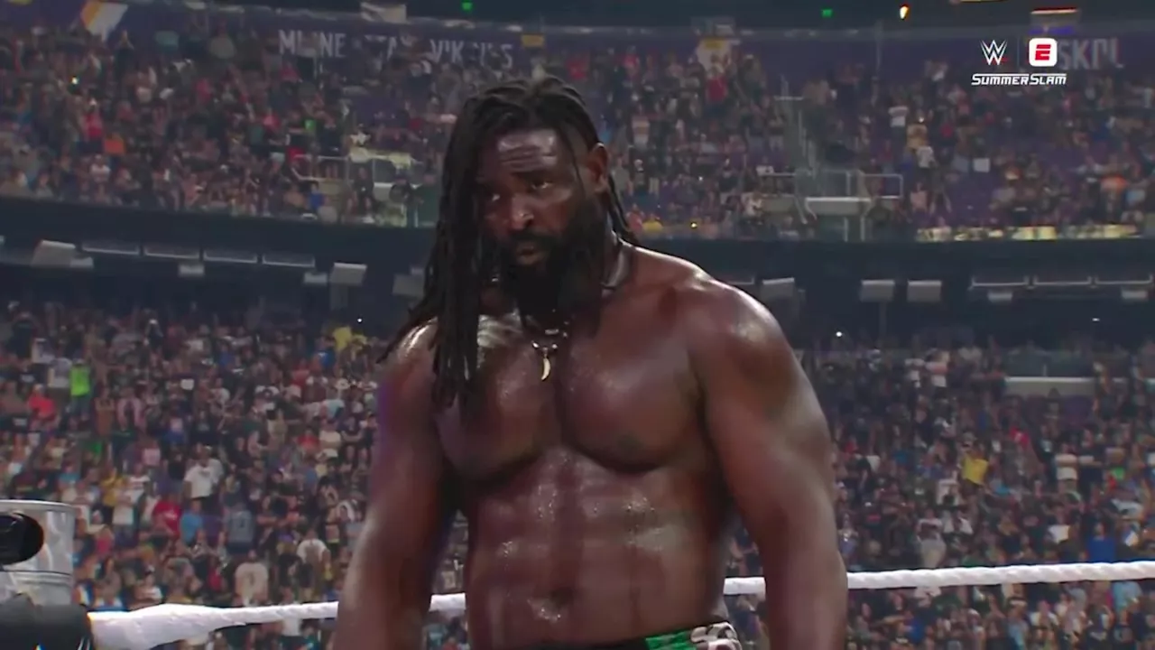 Oba Femi Ascends: The Implications of Brock Lesnar's Hell in a Cell Defeat