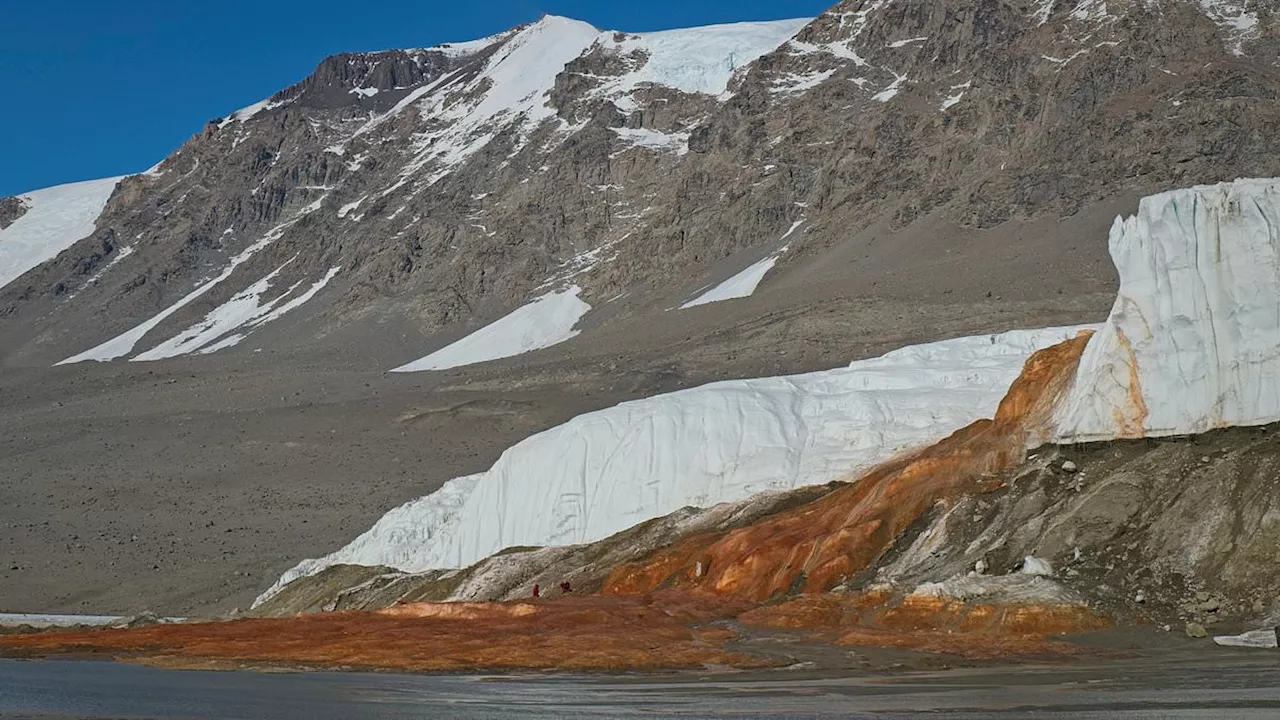 Beyond the Crimson Stain: Ancient Marine Life Discovered Under Antarctica's Taylor Glacier