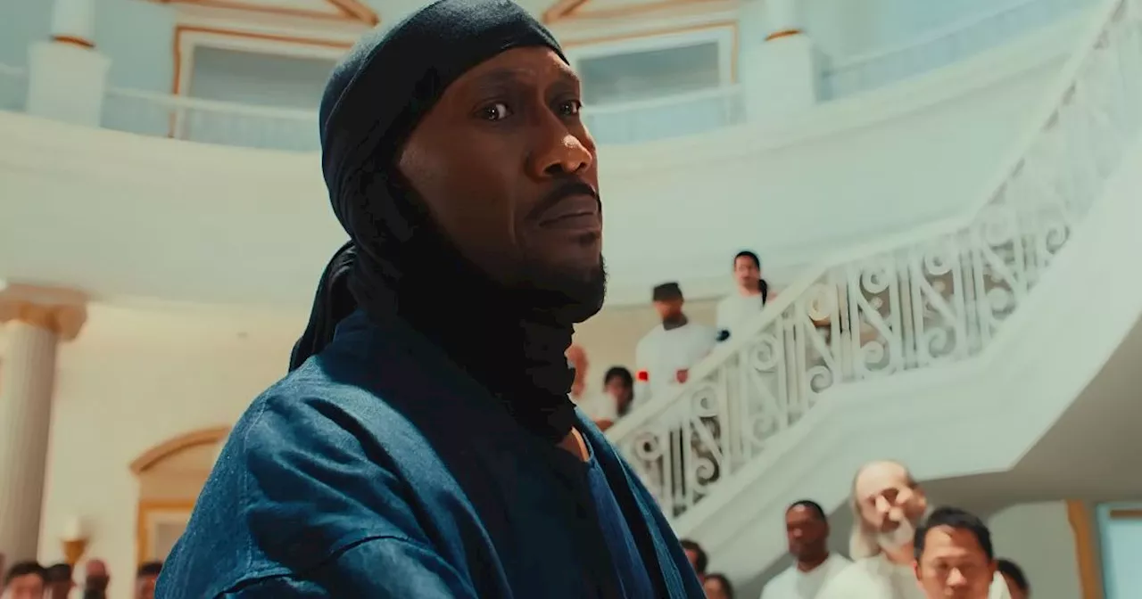 Mahershala Ali’s Divergent Paths: A Houston Hitman vs. Marvel’s Stalled Blade