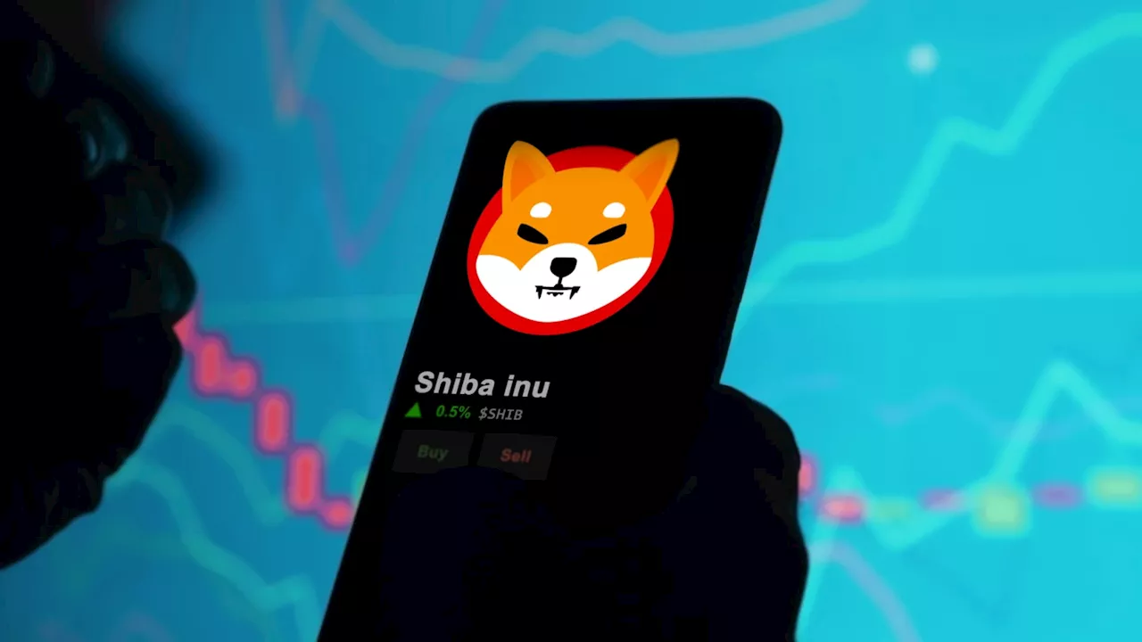 Whale Games: The High-Stakes Shuffle Behind Shiba Inu's Price Surge