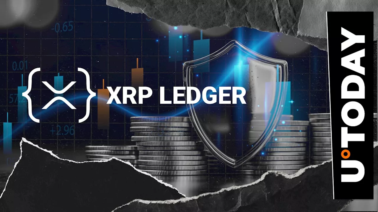XRPL Developers Issue Urgent Patch to Block Manifest Flood Attacks