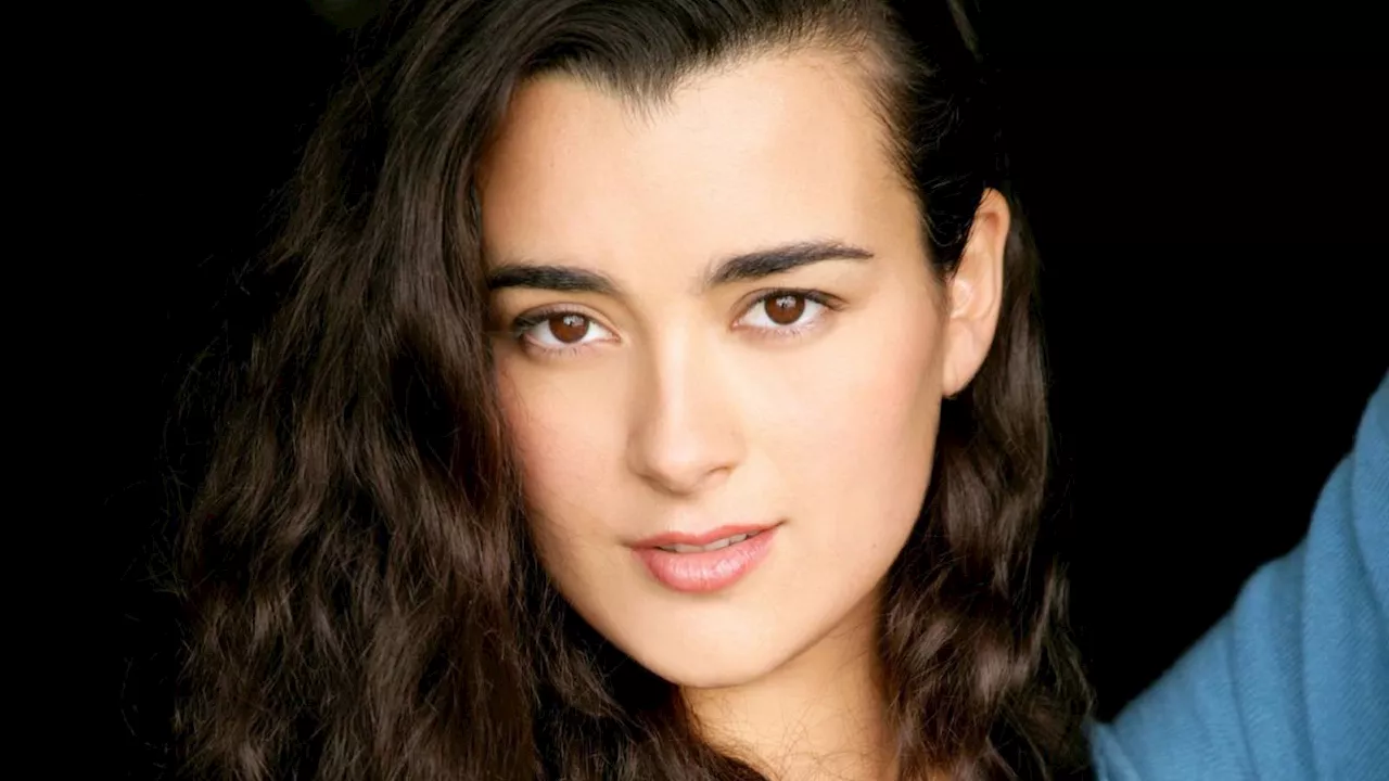 NCIS Reunites Its Golden Couple: Ziva David and Tony Dinozzo Set for Season 24