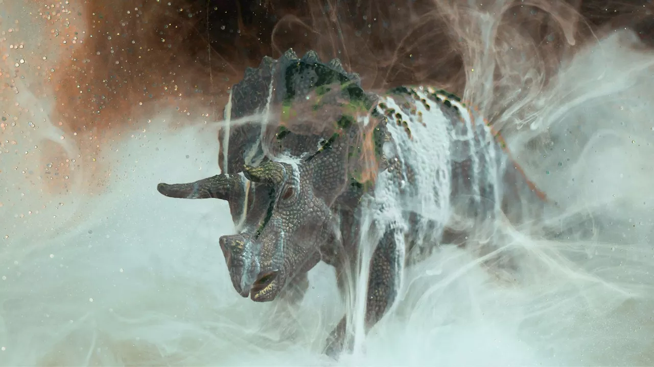 Did Fungal Blooms Give Mammals the Evolutionary Edge Over Dinosaurs?