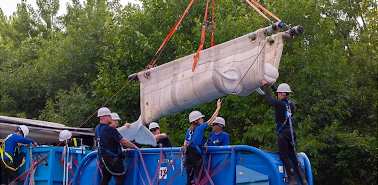 The Beluga Exodus: Marineland’s Final Move as Niagara Falls Park Awaits Sale