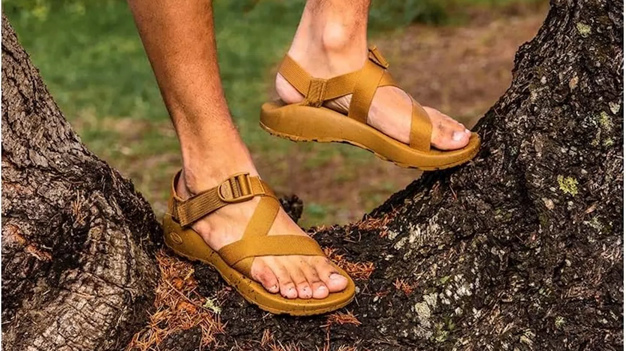 The High Cost of Flat Sandals: Why Your Summer Footwear Needs Engineering