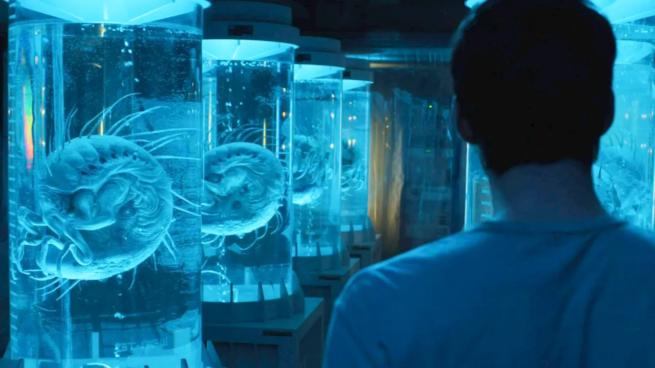 The Dystopian Renaissance: Why HBO Max is Betting on Post-Apocalyptic Hits