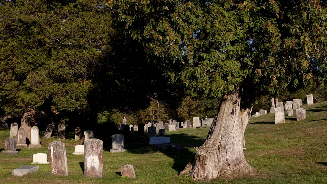 Beyond the Curse: The Collision of Folklore and Fact in Dudleytown