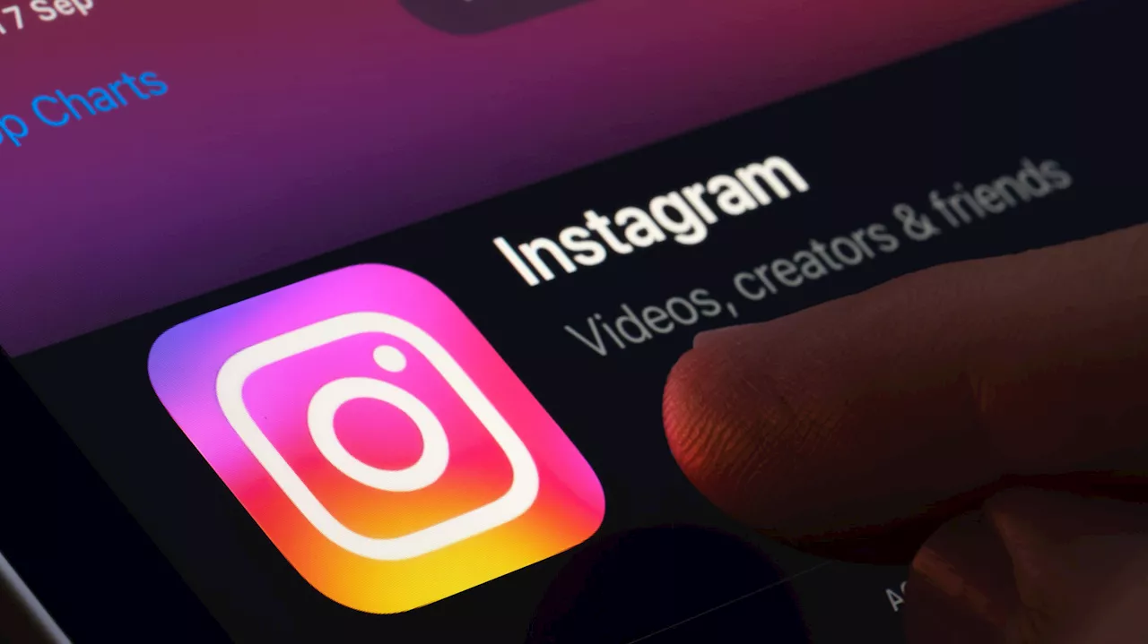 The Privacy Trade-off: Navigating Instagram's Professional Account Divide